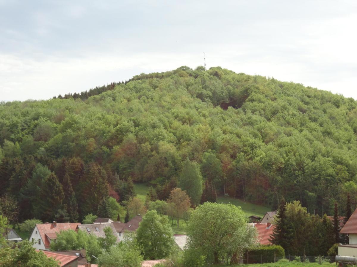 Апартаменты Der Fuchsbau - Fewo Lepetit - Im Sonnigen Harz - Hunde Willkommen - 100M Bis Zum Wald - Free Wlan Бад-Закса Экстерьер фото