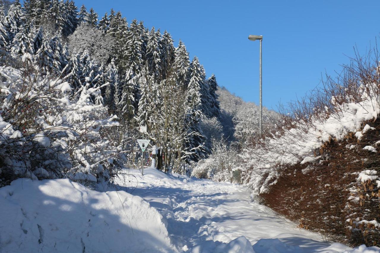 Апартаменты Der Fuchsbau - Fewo Lepetit - Im Sonnigen Harz - Hunde Willkommen - 100M Bis Zum Wald - Free Wlan Бад-Закса Экстерьер фото